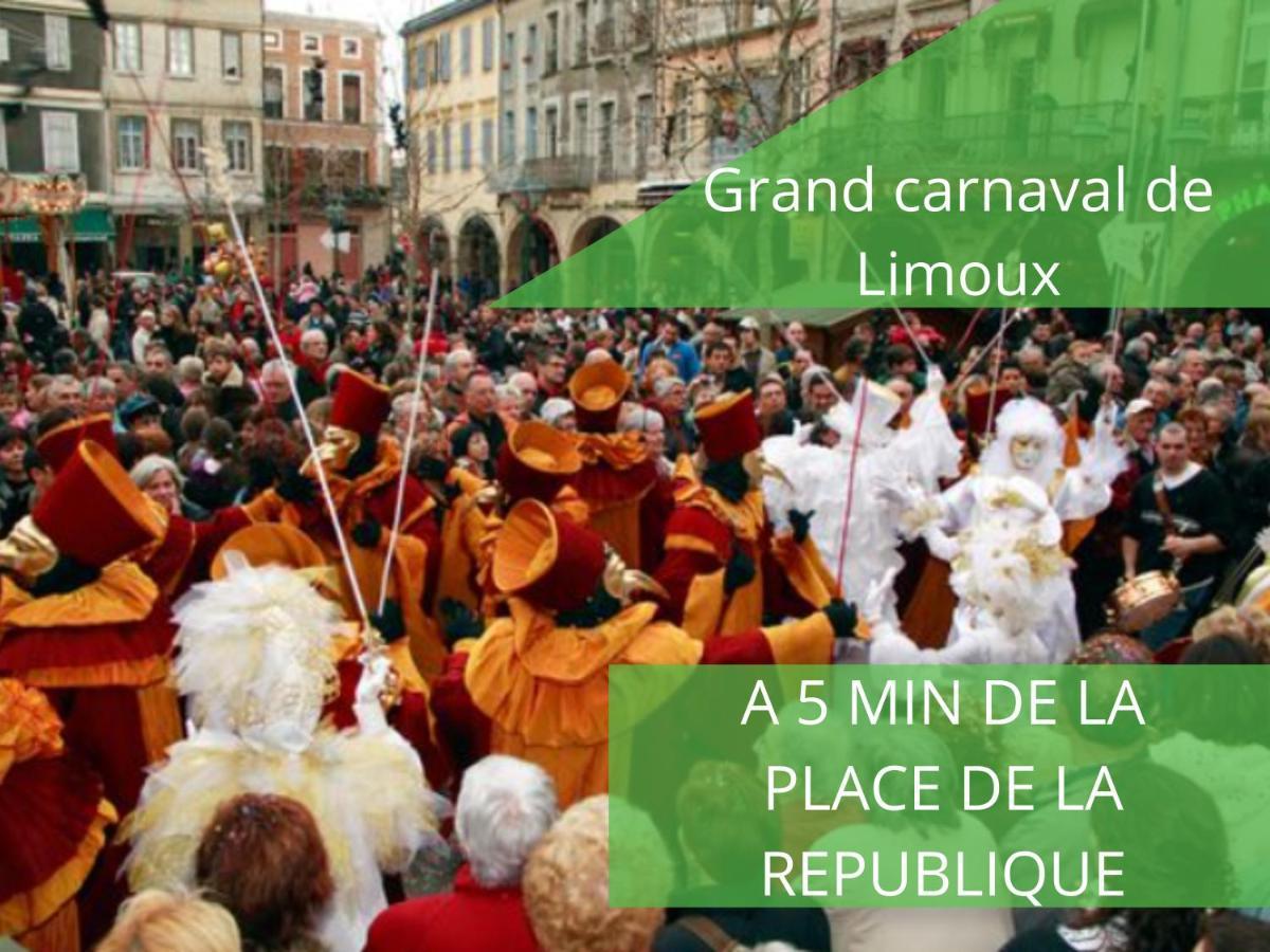Le Cathare-Limoux-Wifi-Parking Free-Oc-Keys Daire Dış mekan fotoğraf